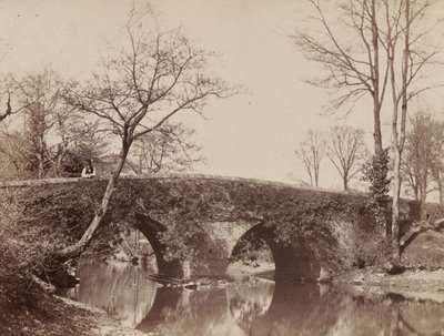 Il ponte di campagna Staplylton Bridge, Bristol, c. 1854-1857 da John Dillwyn Llewelyn
