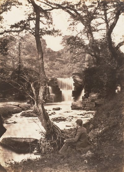 La cascata superiore, 1853-56 da John Dillwyn Llewelyn