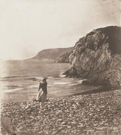 Venti e onde, 1853-56 da John Dillwyn Llewelyn