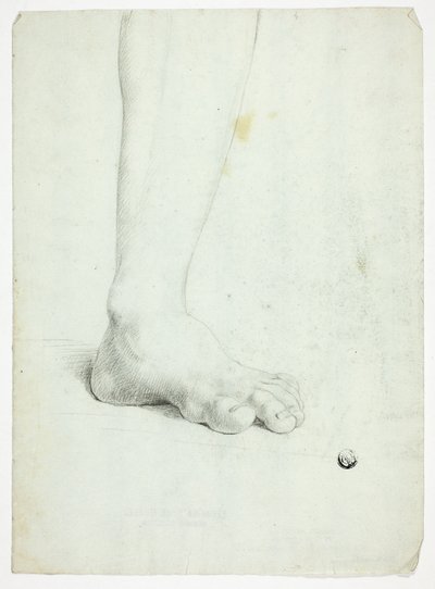 Gamba sinistra della figura in piedi da John Downman
