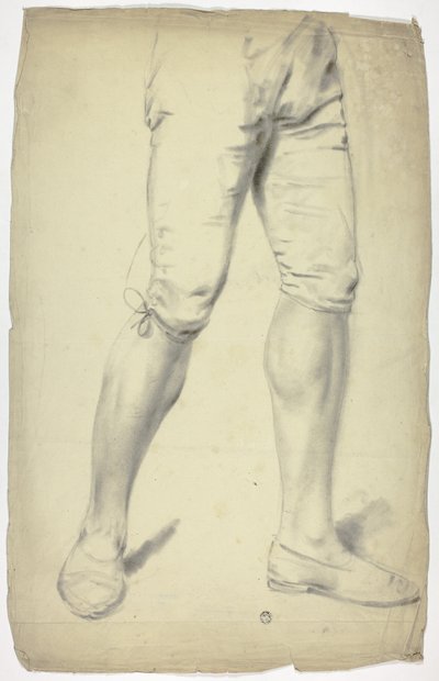 Gambe di ragazzo in mutande da John Downman