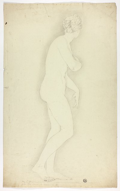 Statua di Venere de