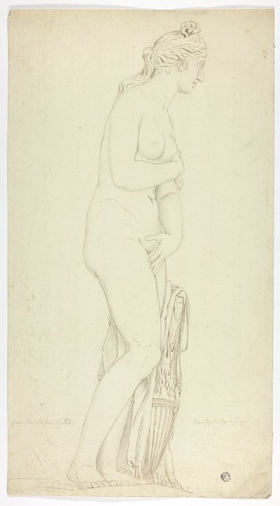 Statua antica di Venere in piedi da John Downman