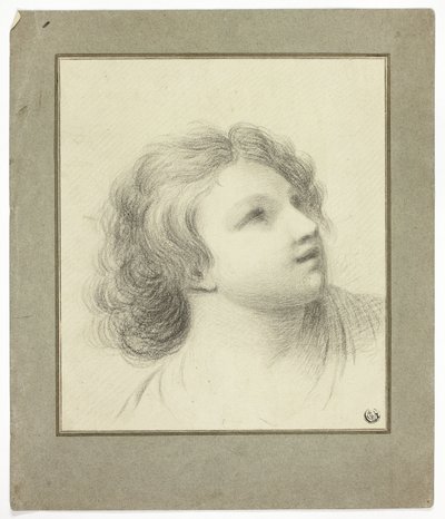 Testa rovesciata della gioventù da John Downman