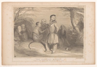 Lord Palmerston nel paese delle scimmie da John Doyle