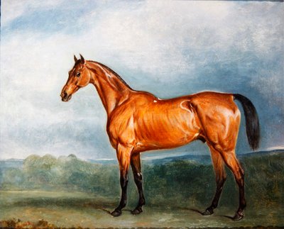 Brin-y-a-Pin in un paddock da John E. Ferneley