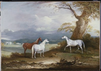 Le giumente di Lord Macdonald nei terreni di Thorpe Hall, Rudston, Yorkshire, 1836 da John E. Ferneley