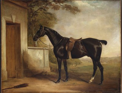 Ritratto di Buckle, il cavallo del primo Lord Chesham da John E. Ferneley