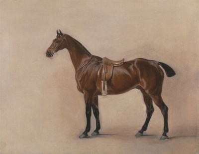 Studio di un cavallo baio sellato da John E. Ferneley