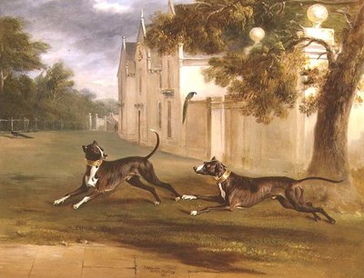 I due Bull Terrier del Conte di Brownlow, 