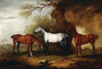 Tre cacciatori appartenenti a Robert Myddelton-Biddulph da John E. Ferneley