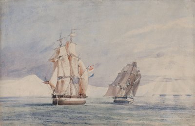 Le navi di Sua Maestà Erebus e Terror nel Mare di Ross da John Edward Davis