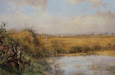 Immagine sconosciuta da John Edward Newton
