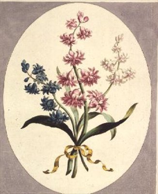 Giacinti orientali da John Edwards