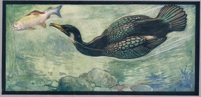 Un uccello che insegue un pesce, illustrazione da 