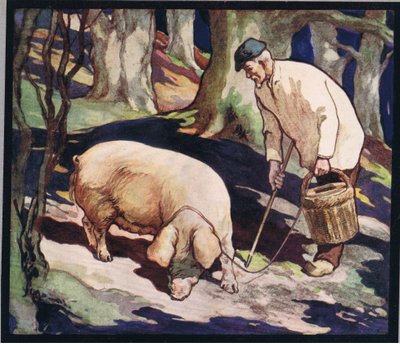 Un maiale alla ricerca di tartufi, illustrazione da 