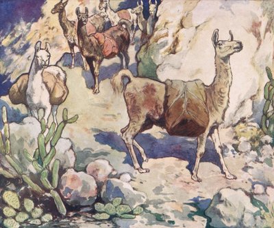 Alpaca su un sentiero di montagna, illustrazione da 