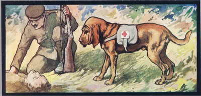 Bloodhound ambulante, illustrazione da 