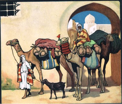 Carovana di cammelli, illustrazione da 
