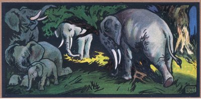 Elefante nella natura selvaggia da John Edwin Noble