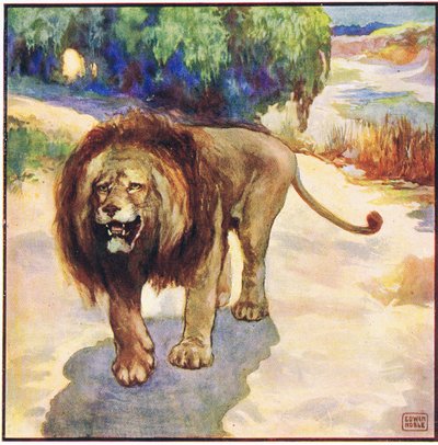Mi sono reso conto per un solo istante che il leone stava arrivando da John Edwin Noble