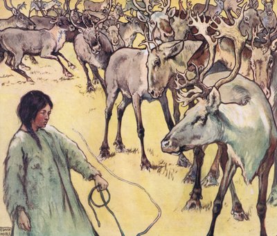 Branco di alci, illustrazione da 