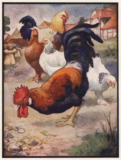 Il gallo e il gioiello da John Edwin Noble