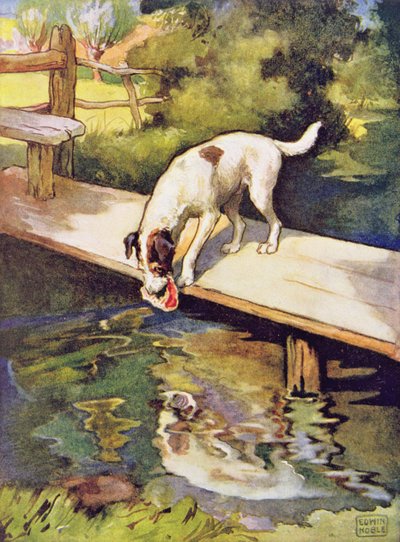 Il Cane e l
