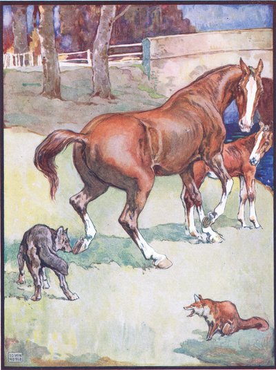La cavalla sollevò lo zoccolo, illustrazione per Reynard the Fox, da Animal Legends from Many Lands, pubblicato da Raphael Tuck & Sons Ltd. da John Edwin Noble