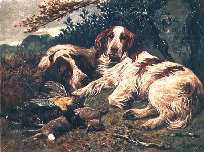 Una coppia di Clumber Spaniel bianco e fegato con il bottino del giorno da John Emms