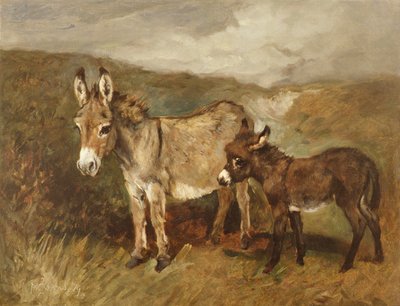 Asini sulla brughiera, c.1890 da John Emms