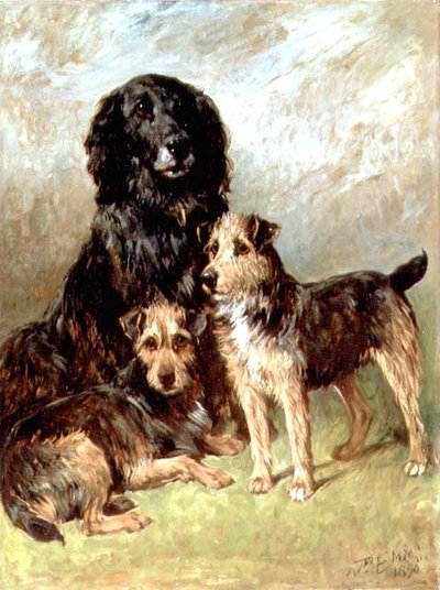 Animali domestici di famiglia da John Emms
