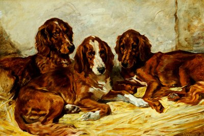 Shot e i suoi amici - Tre Setter Irlandesi Rosso e Bianco, 1876 da John Emms