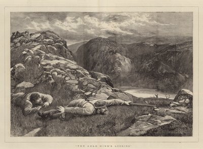 Lo sguardo del vecchio cervo da John Evan Hodgson