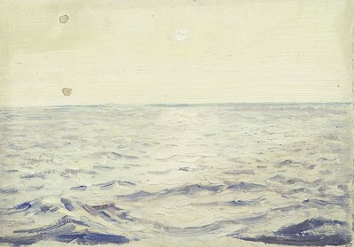Paesaggio marino dal 
