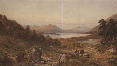 Testa di Lough Carrib, Connemara da John Faulkner