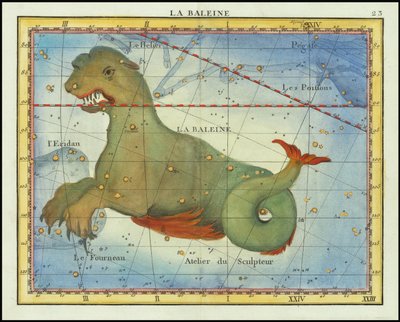 1776 - John Flamsteed - La Baleine (Cetus) da John Flamsteed