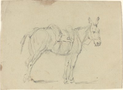 Asino che allunga una gamba posteriore da John Flaxman
