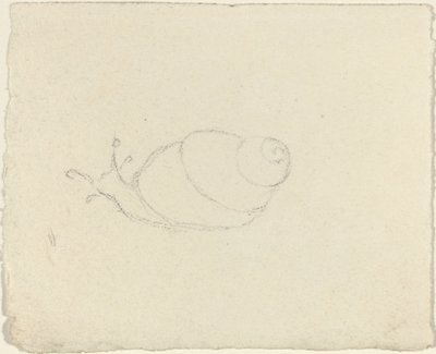 Lumache (recto e verso) da John Flaxman