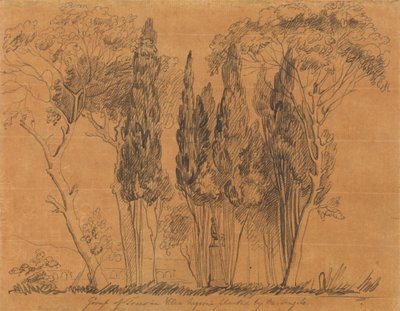 Alberi nella Villa Negroni Piantati da M. Angelo da John Flaxman