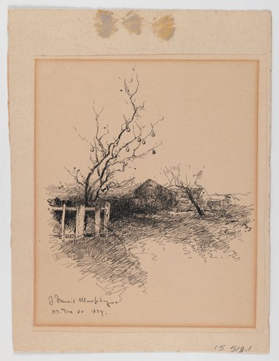 Paesaggio, N.Y., 20 dicembre 1894 da John Francis Murphy