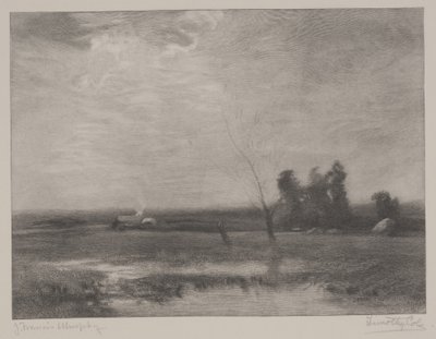 Pomeriggio nelle terre basse, stampa di Timothy Cole (1852-1931) da John Francis Murphy