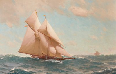 Il Celebre Clipper 