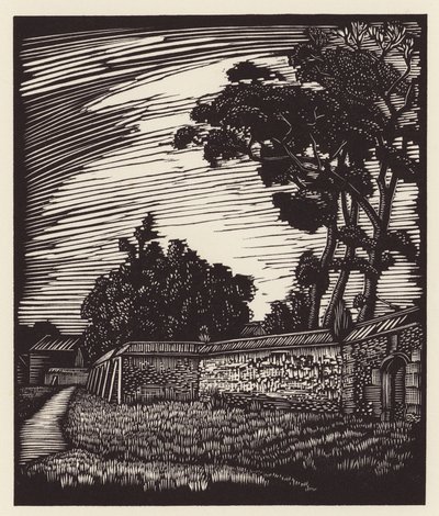 Cambridge: Peterhouse Wall, Coe Fen (xilografia) da John Frederick Greenwood