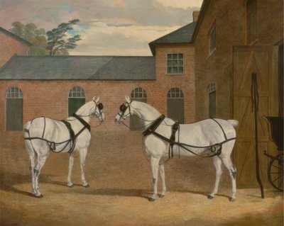 Cavalli da carrozza grigi nel cortile della carrozza a Putteridge Bury, Hertfordshire da John Frederick Herring
