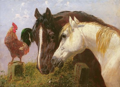 Amici del cortile da John Frederick Herring Junior