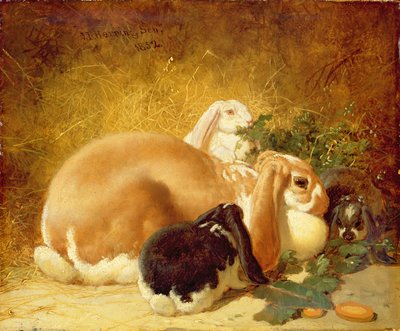 Conigli, 1852 da John Frederick Herring Junior