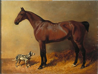 Un cavallo da caccia e un cane maculato in un interno di stalla, 1846 da John Frederick Herring Senior
