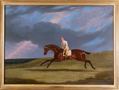 Corduroy, un cavallo da corsa baio, con un fantino, galoppando su un ippodromo da John Frederick Herring Senior