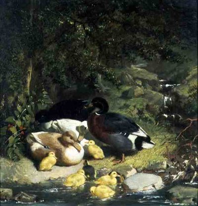 Anatre e anatroccoli da John Frederick Herring Senior